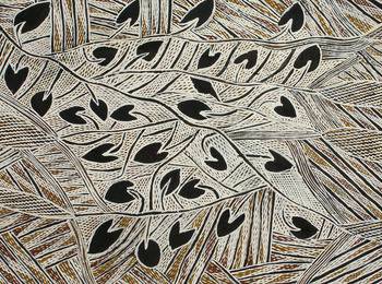 Aboriginal Arts Crafts Yirrkala NT Suburb Australia