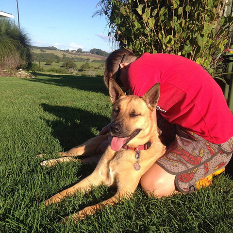 Golden Paw Tregeagle - Suburb Australia 1