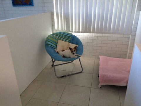 Golden Paw Tregeagle - Suburb Australia 2