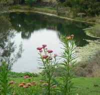 Banora Holistic Healing - Suburb Australia