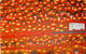 Nyinkka Nyunyu Art & Culture Centre - thumb 2