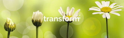 Achieve Business Dynamics - Suburb Australia 1