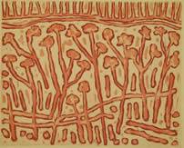 Northern Editions Printmaking Studio & Gallery - Suburb Australia 2