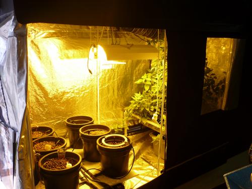 Car Restorations Supplies Nerang QLD Suburb Australia