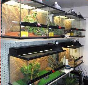 Pets ‘R’ Us - Suburb Australia 3