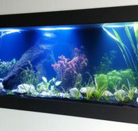 Aquariums in Cairns - Suburb Australia