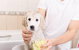 All Pet Stop - thumb 0