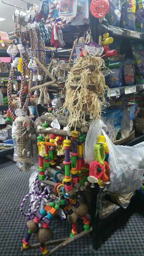 Absolutely Fish And Pets - Suburb Australia 4