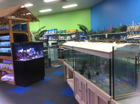 Rocky Pet World - Suburb Australia 1