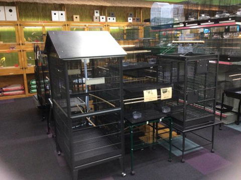 Rocky Pet World - Suburb Australia 3