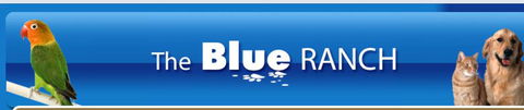 The Blue Ranch - Suburb Australia 4