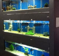 Illawarra Pet Supplies - Suburb Australia