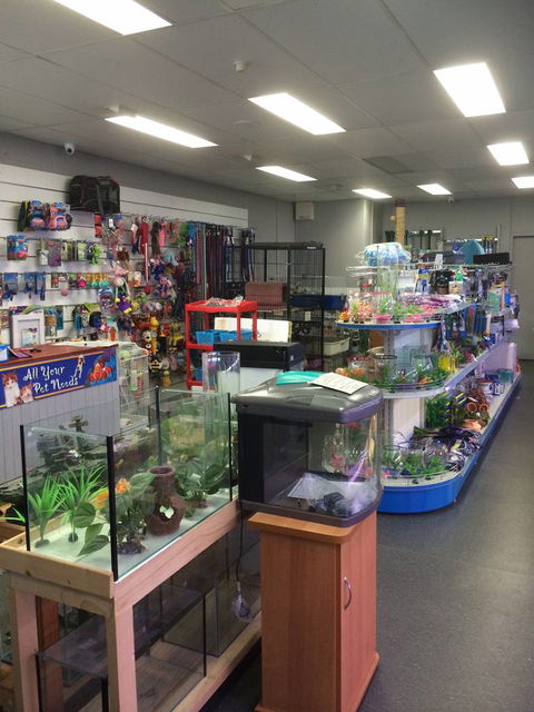 Nambour Pet Shop - Suburb Australia 0