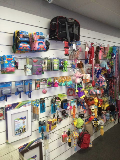 Nambour Pet Shop - Suburb Australia 3