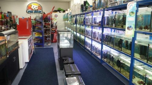 Pet Shops Currimundi QLD Suburb Australia