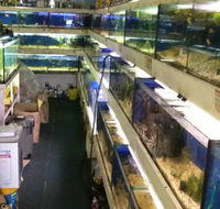 Clearwater Aquariums - Suburb Australia
