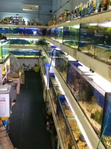 Clearwater Aquariums - Suburb Australia 0