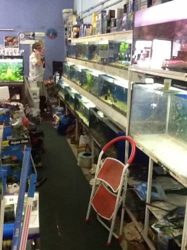 Clearwater Aquariums - Suburb Australia 1