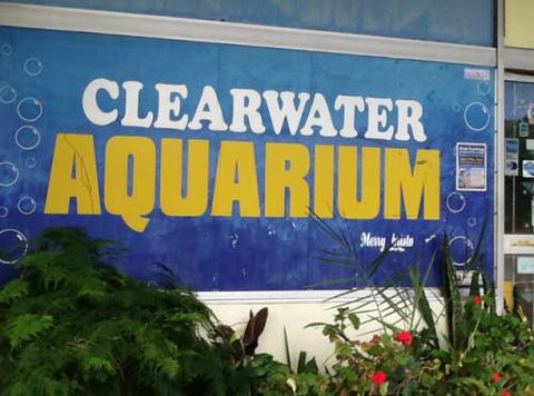 Clearwater Aquariums - Suburb Australia 2