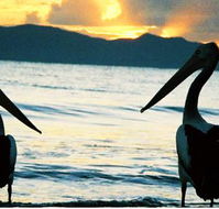 Villa Marine Cairns Beach Self Contained Holiday Apartments - Suburb Australia