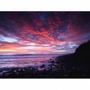 Art Galleries Burleigh Heads QLD Suburb Australia