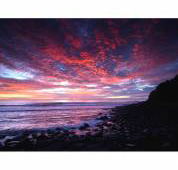 Ocean Art Australia - Suburb Australia