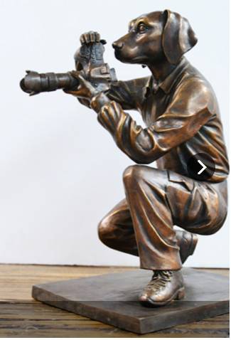 Art Galleries Byron Bay NSW Suburb Australia