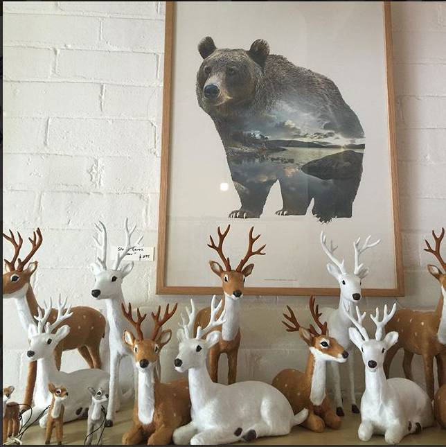 Art Galleries Moss Vale NSW Suburb Australia