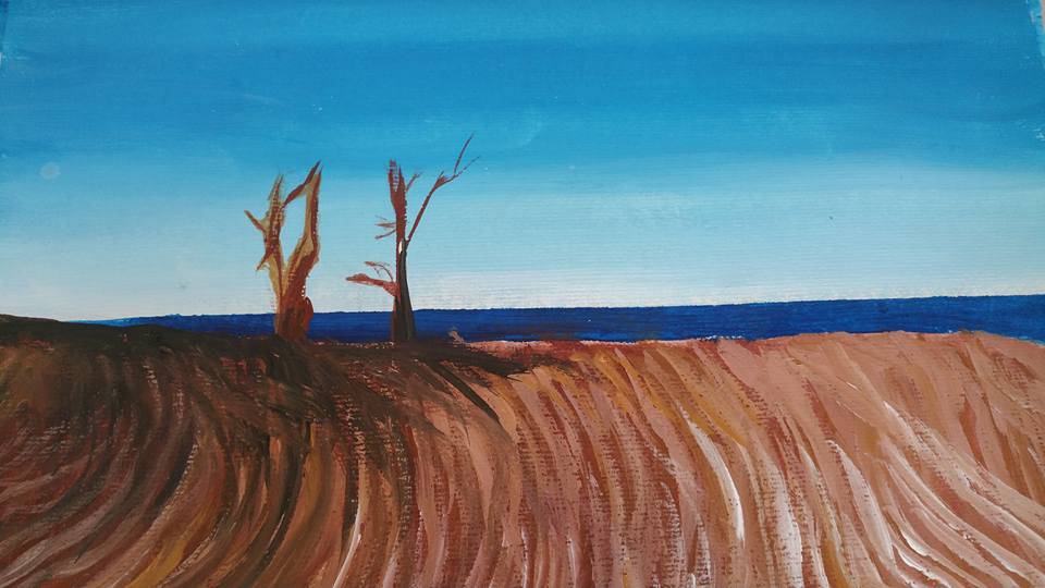 Art Galleries Diamond Beach NSW Suburb Australia