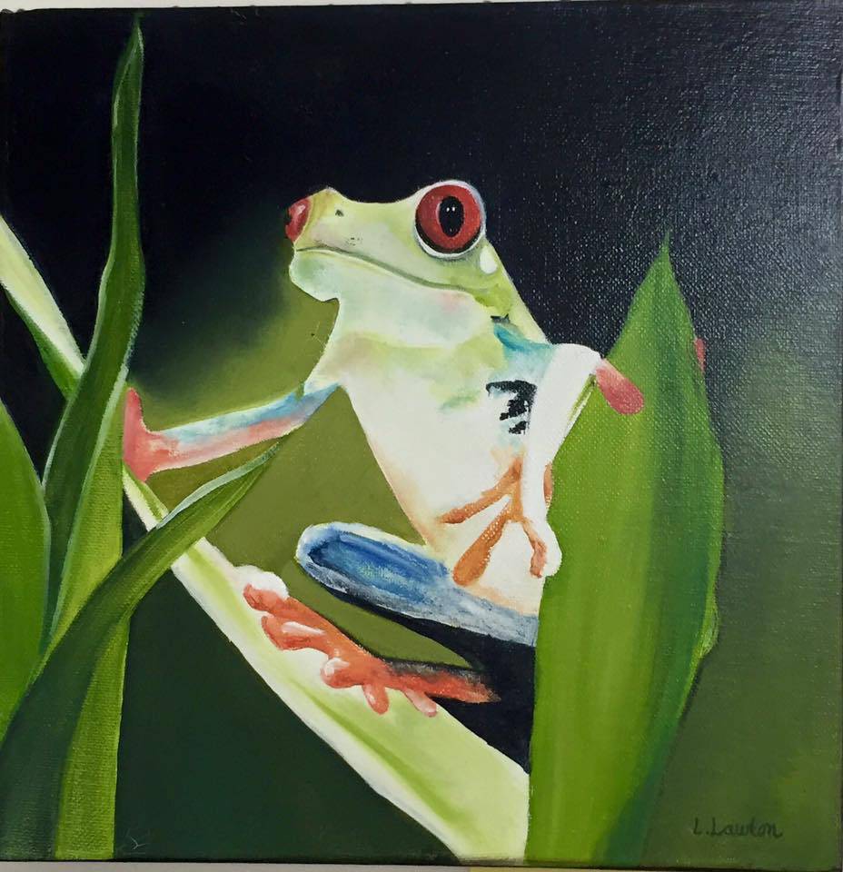 Art Galleries Gorokan NSW Suburb Australia