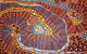 Palya Proper Fine Art - thumb 4