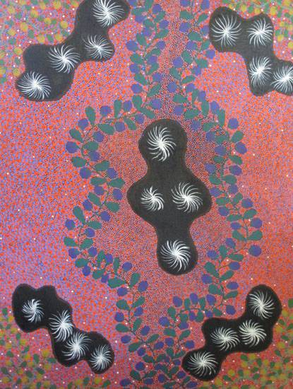 Art Galleries Ali Curung NT Suburb Australia