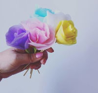 Bundaberg Regional Art Gallery - Suburb Australia