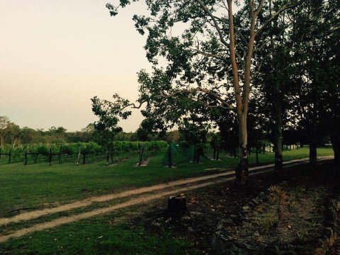 Brierley Wines - Suburb Australia 0