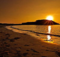 Hibiscus Framing  Artisan Studio - Suburb Australia