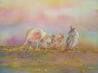 Territory Colours - Suburb Australia 1