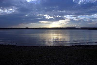 Art Galleries Gilgandra NSW Suburb Australia