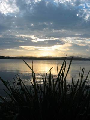 The Next Grind - Suburb Australia 1