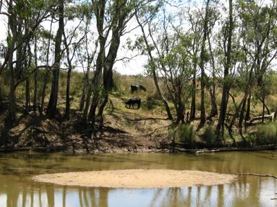 The Next Grind - Suburb Australia 3