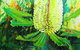 Kelli Mac Art - thumb 3