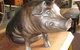 The Rustic Emu Gallery - thumb 3