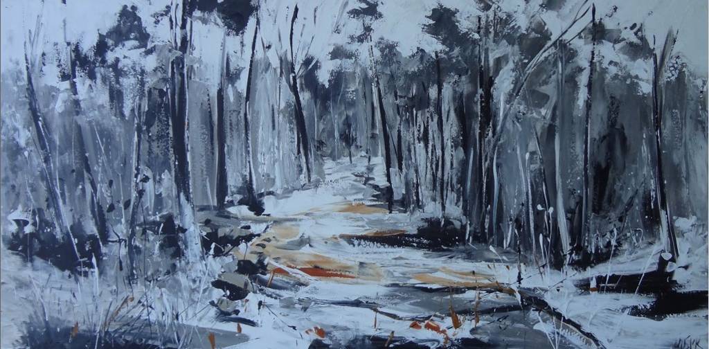 Art Galleries The Junction NSW Suburb Australia