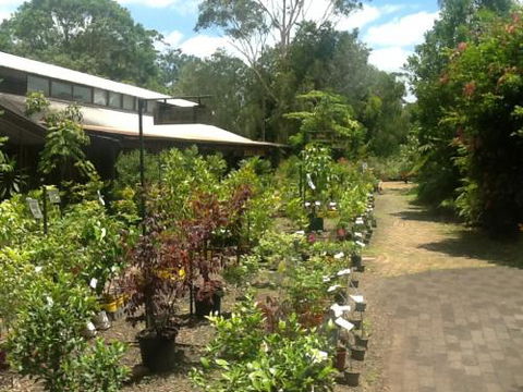 Fairhill Native Plants Retail - Suburb Australia 0