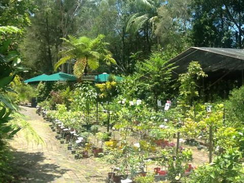 Fairhill Native Plants Retail - Suburb Australia 1