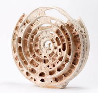 Noosa Regional Gallery - Suburb Australia