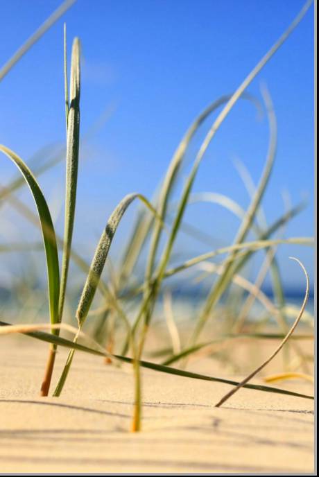 Coastal Visions Photography - Suburb Australia 1