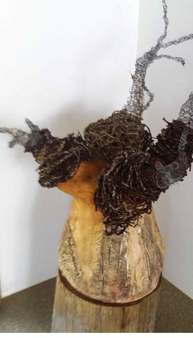 Art Schools Murwillumbah NSW Suburb Australia