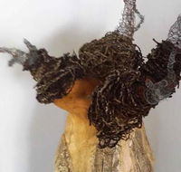 Caldera Art Gallery - Suburb Australia