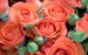 Bluebird Florist Hunter Valley - thumb 1