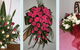 Bluebird Florist Hunter Valley - thumb 4
